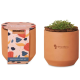 Eco Friendly Table Pot