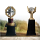 Star Achievement Award Set