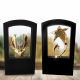 Star Award Set
