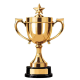 Star Winning Trophy