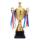Tournament Winning Trophy