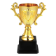 Golden Winning Trophy
